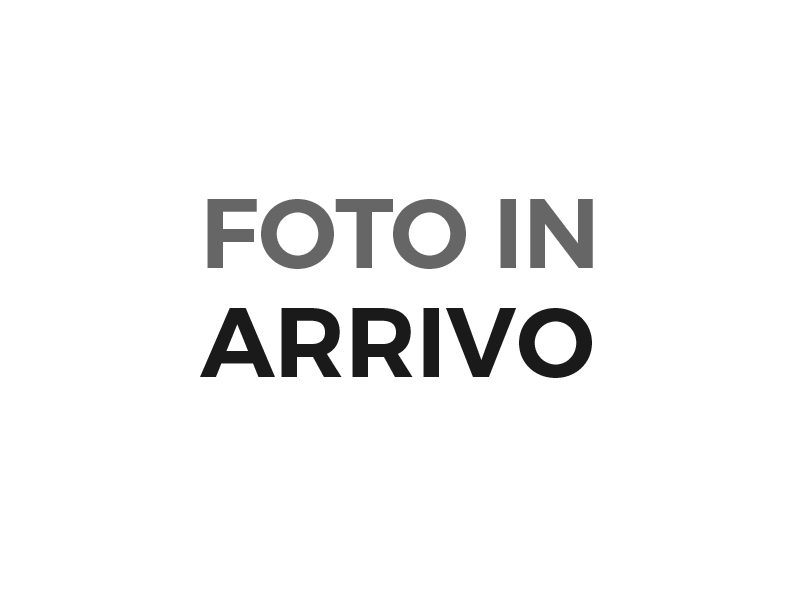 nophoto Taigo